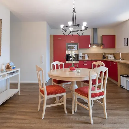 Austernfischer In Lägenhet Husum (Schleswig-Holstein)