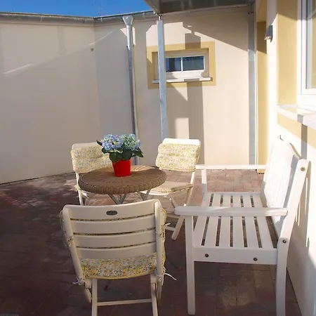 Austernfischer In Husum (Schleswig-Holstein)