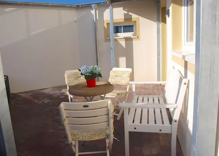 Austernfischer In Husum (Schleswig-Holstein)